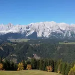 Reinbacher - Primps