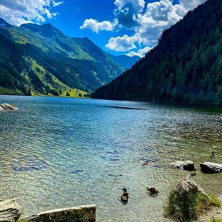 Reinbacher - Primps سخلادميخ