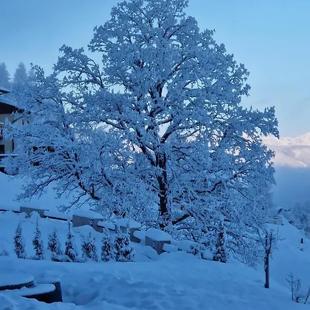 Reinbacher - Primps سخلادميخ