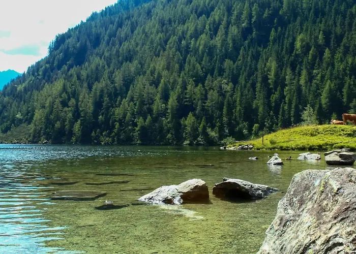 Reinbacher - Primps Apartment