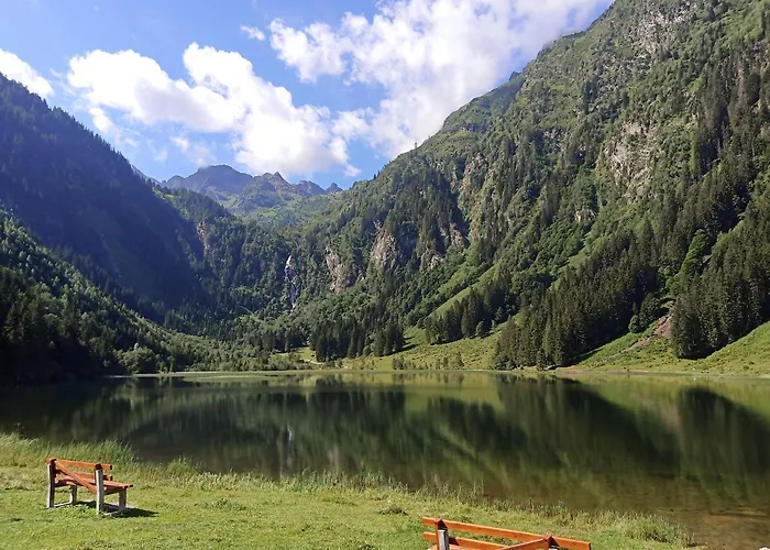 Reinbacher - Primps *