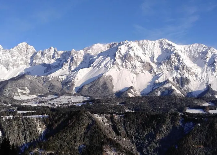 Reinbacher - Primps Apartment