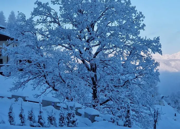 Reinbacher - Primps Schladming